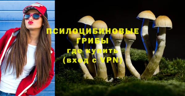 герыч Алексин