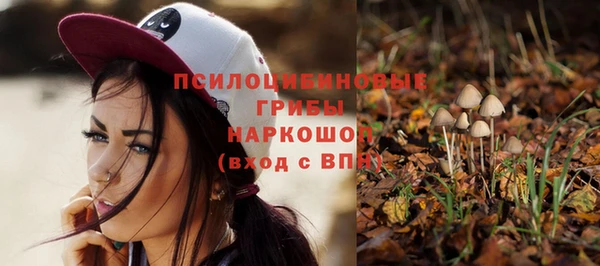 круглые Алексеевка