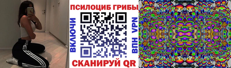 гидра ссылки Моздок Псилоцибиновые грибы GOLDEN TEACHER