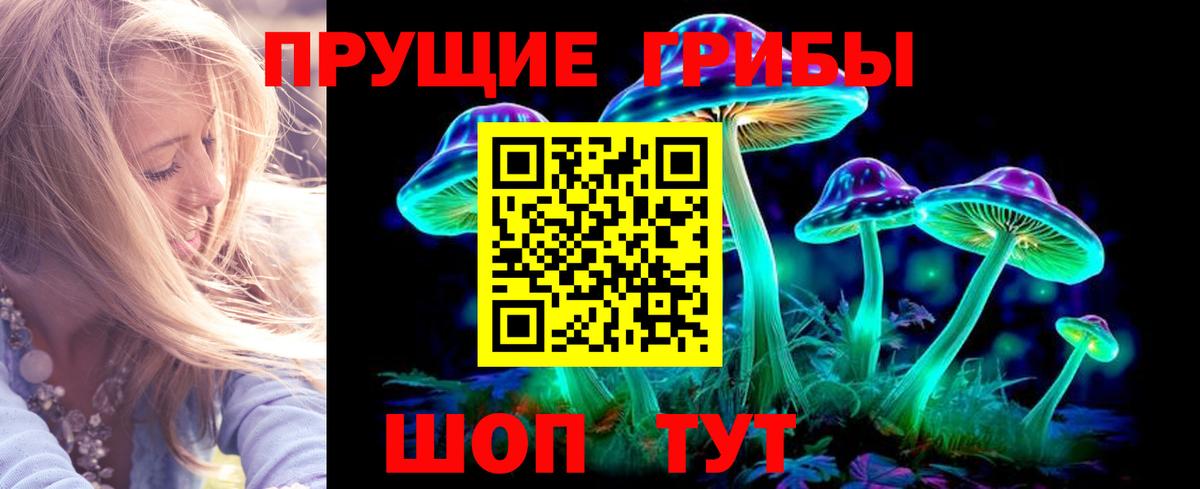 Галлюциногенные грибы MAGIC MUSHROOMS Моздок