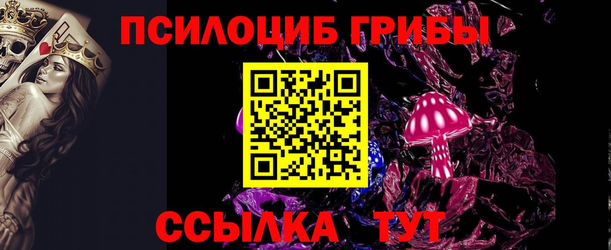 магазин    Галлюциногенные грибы Psilocybe  Вход с VPN  Галлюциногенные грибы GOLDEN TEACHER  Моздок 
